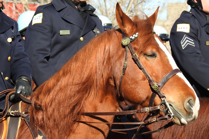 Memorial service for Commander Bauer 13 Feb 19 Pic #0743