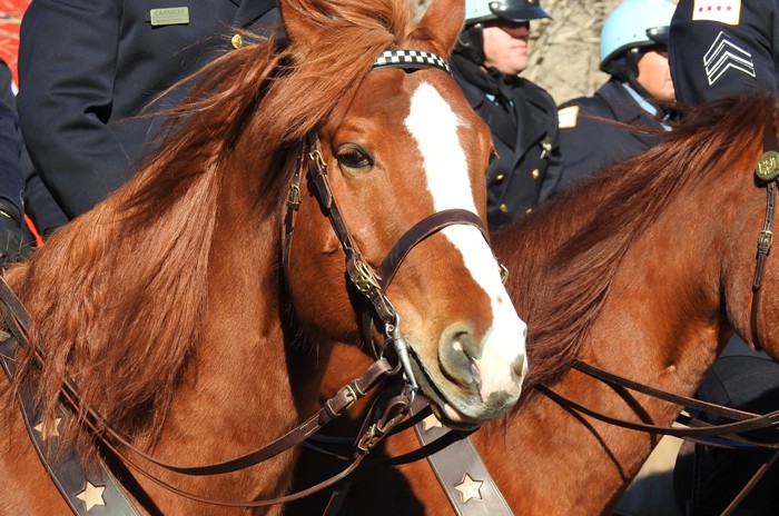 Memorial service for Commander Bauer 13 Feb 19 Pic #0744